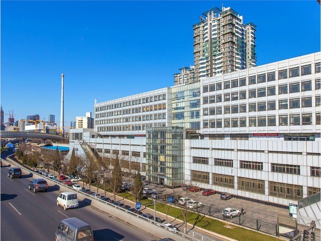 威海弹性腻子膏厂家